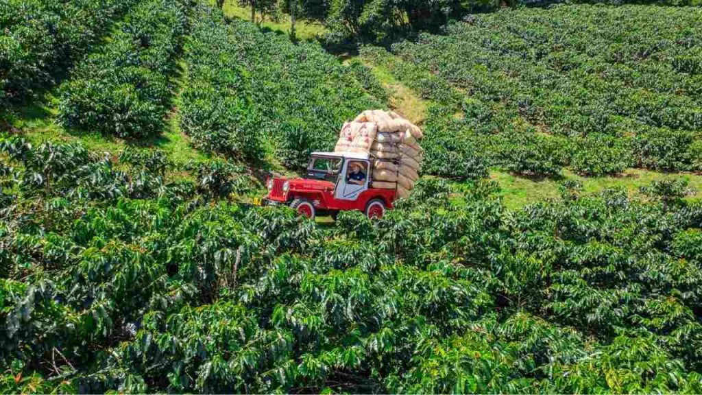 Listado imagen de la portada