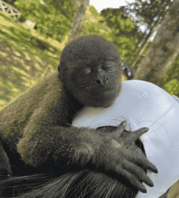 Listado imagen de la portada